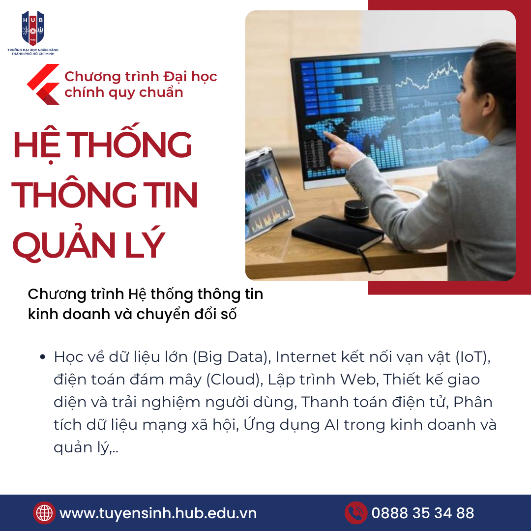 Ngành Hệ thống thông tin quản lý (MIS): Nơi giao thoa của công nghệ và kinh doanh